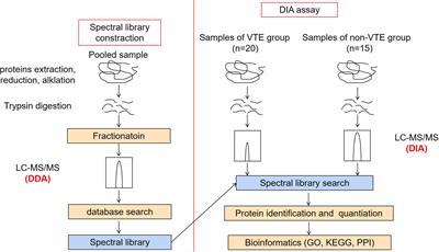 Discovery of protein biomarkers for venous thromboembolism in non-small cell lung cancer patients through data-independent acquisition mass spectrometry